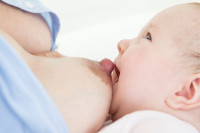 Putting your baby to the breast 2